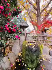 紅葉八幡宮(福岡県)