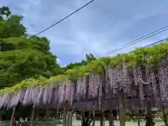 日吉神社の庭園