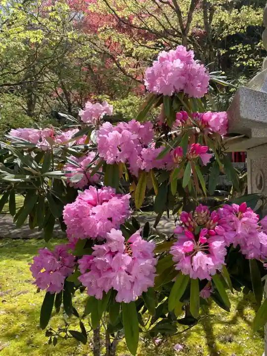 高野山金剛峯寺奥の院(和歌山県)