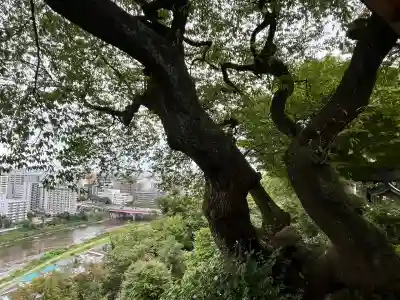 愛宕神社(宮城県)