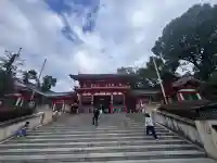 八坂神社(祇園さん)の{uncategorized: "未分類", other: "その他", undefined: "問題あり", building: "その他建物", grave: "お墓", sacred_gate: "鳥居", guardian: "狛犬", statue: "像", buddha: "仏像", history: "歴史", nature: "自然", garden: "庭園", animal: "動物", pagoda: "塔", temizu: "手水舎", mountain_gate: "山門・神門", sanctuary: "本殿・本堂", subordinate: "末社・摂社", art: "芸術", scenery: "景色", jizo: "地蔵", ema: "絵馬", goshuin: "御朱印", omikuji: "おみくじ", items: "授与品その他", amulet: "お守り", goshuincho: "御朱印帳", eats: "食事", festival: "お祭り", votive_dance: "神楽", shichigosan: "七五三参", wedding: "結婚式", experience: "体験その他", initially: "初詣", around: "周辺", anti_infection: "感染症対策"}