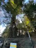 高尾山薬王院(東京都)