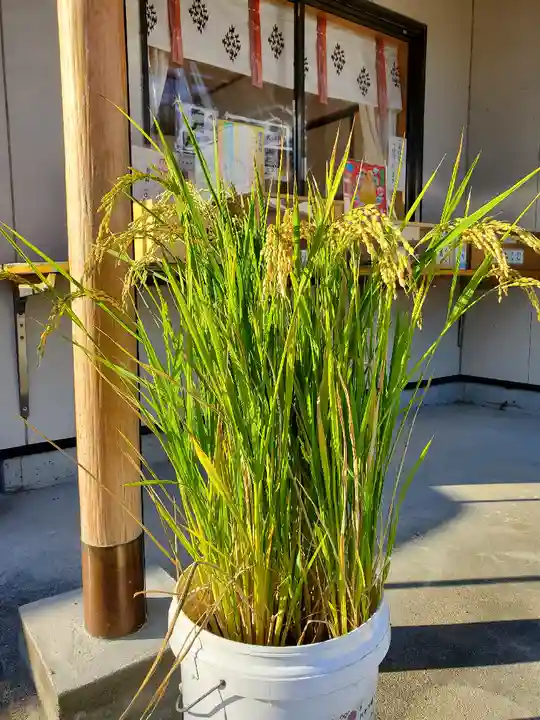大鏑神社の授与品その他
