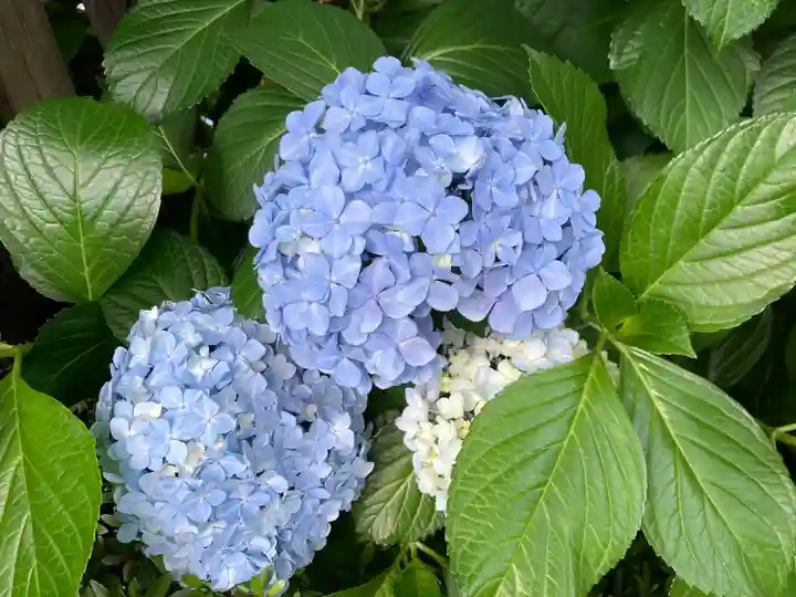 【閉業】小石川大神宮(東京都)