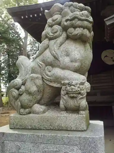 今泉神社の狛犬