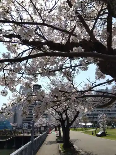 福井神社(福井県)