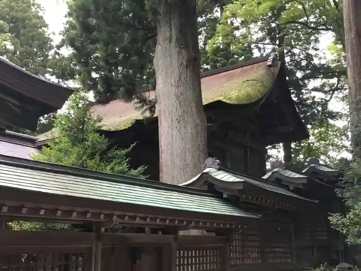 雄山神社前立社壇の本殿・本堂