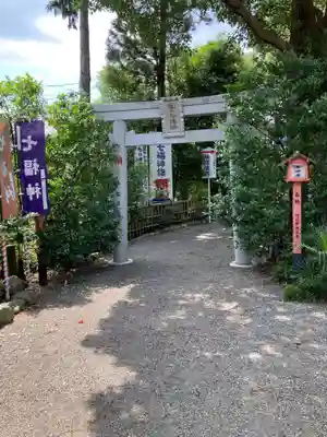 亀ケ池八幡宮の鳥居