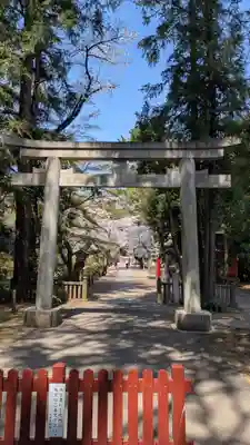 岩槻久伊豆神社(埼玉県)