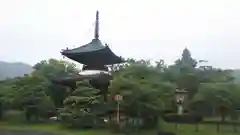 清凉寺の建物その他