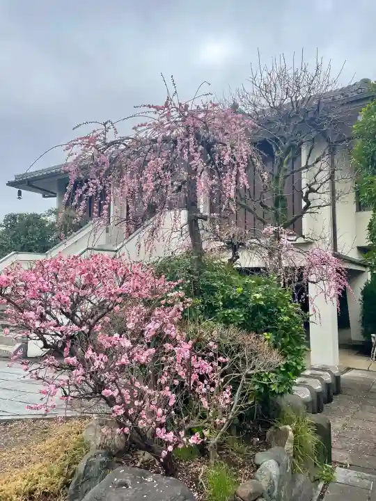 常泉寺の{uncategorized: "未分類", other: "その他", undefined: "問題あり", building: "その他建物", grave: "お墓", sacred_gate: "鳥居", guardian: "狛犬", statue: "像", buddha: "仏像", history: "歴史", nature: "自然", garden: "庭園", animal: "動物", pagoda: "塔", temizu: "手水舎", mountain_gate: "山門・神門", sanctuary: "本殿・本堂", subordinate: "末社・摂社", art: "芸術", scenery: "景色", jizo: "地蔵", ema: "絵馬", goshuin: "御朱印", omikuji: "おみくじ", items: "授与品その他", amulet: "お守り", goshuincho: "御朱印帳", eats: "食事", festival: "お祭り", votive_dance: "神楽", shichigosan: "七五三参", wedding: "結婚式", experience: "体験その他", initially: "初詣", around: "周辺", anti_infection: "感染症対策"}