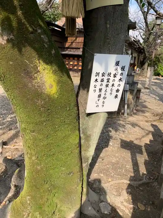 白山神社(榎白山神社)の歴史