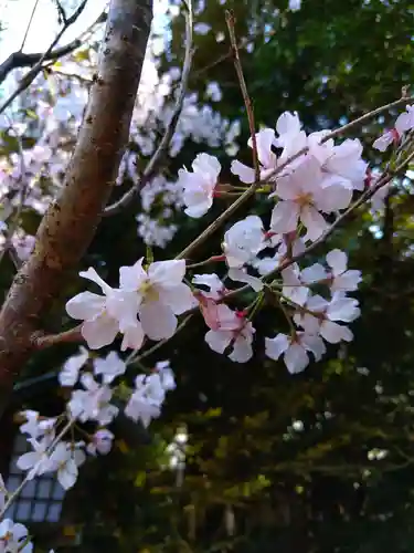 東京大神宮(東京都)