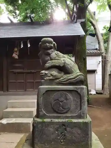神明氷川神社の狛犬