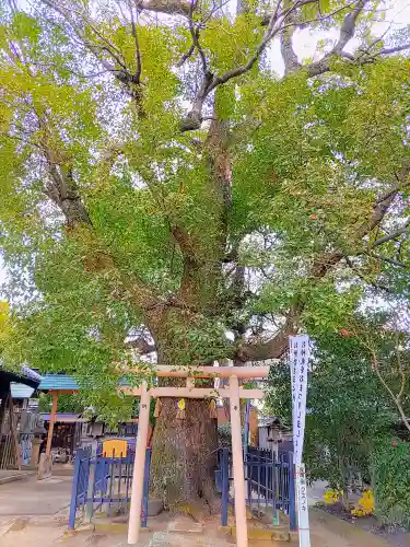 中山神明社の末社・摂社