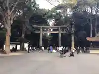 明治神宮の鳥居