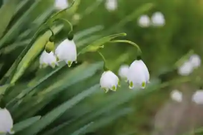 法華寺(奈良県)