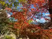 国宝 大法寺(長野県)