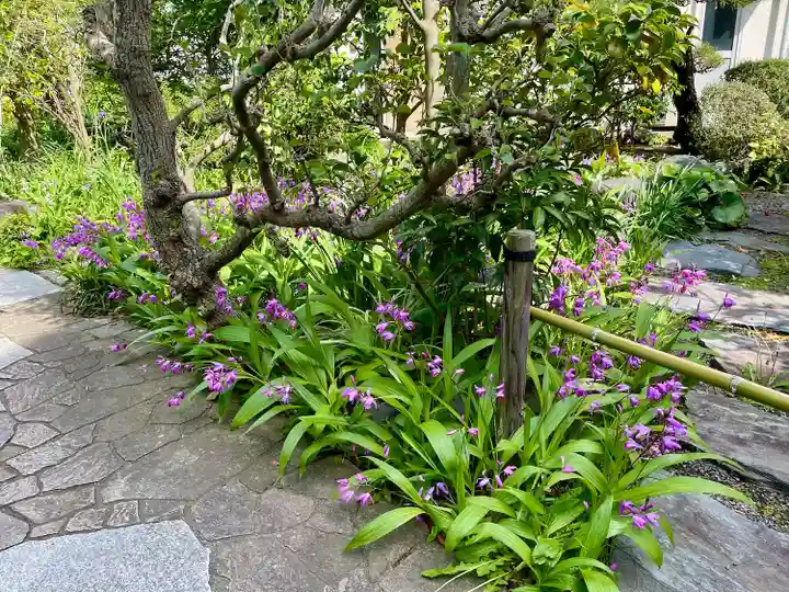 大巧寺(神奈川県)