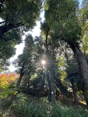 布多天神社(東京都)