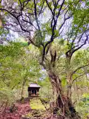 白瀧神社(茨城県)