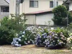 白山神社の庭園