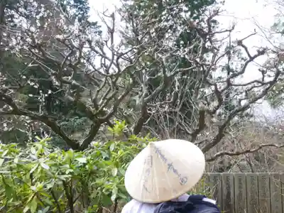 白峯寺(香川県)