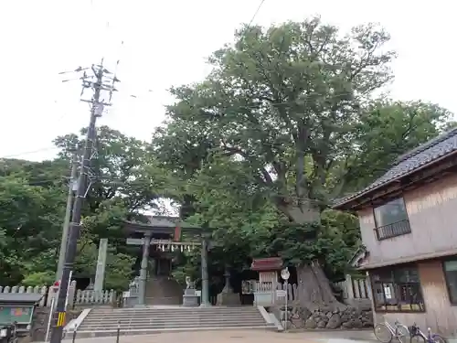 三国神社の建物その他