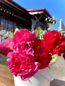 伊達神社の自然(2023年03月19日(日) 18時47分31秒投稿)