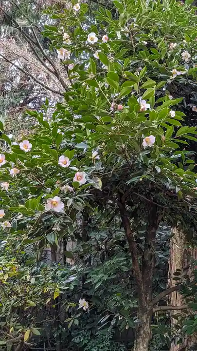 粟田神社(京都府)