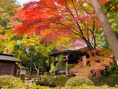 中尊寺の景色