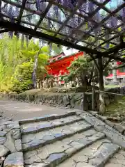 春日大社の建物その他