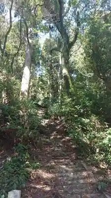 阿波々神社の自然