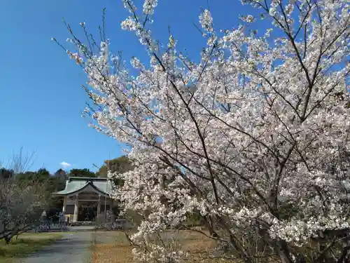 天伯山神社(愛知県)