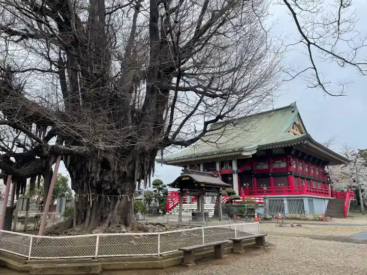 千葉寺の{uncategorized: "未分類", other: "その他", undefined: "問題あり", building: "その他建物", grave: "お墓", sacred_gate: "鳥居", guardian: "狛犬", statue: "像", buddha: "仏像", history: "歴史", nature: "自然", garden: "庭園", animal: "動物", pagoda: "塔", temizu: "手水舎", mountain_gate: "山門・神門", sanctuary: "本殿・本堂", subordinate: "末社・摂社", art: "芸術", scenery: "景色", jizo: "地蔵", ema: "絵馬", goshuin: "御朱印", omikuji: "おみくじ", items: "授与品その他", amulet: "お守り", goshuincho: "御朱印帳", eats: "食事", festival: "お祭り", votive_dance: "神楽", shichigosan: "七五三参", wedding: "結婚式", experience: "体験その他", initially: "初詣", around: "周辺", anti_infection: "感染症対策"}