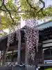 愛染院(東京都)