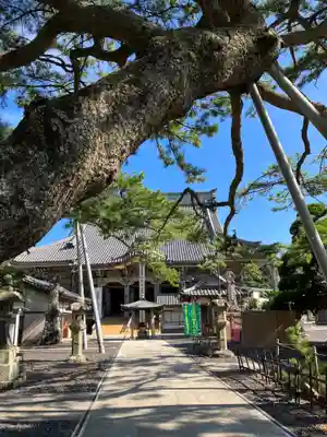 誕生寺(千葉県)