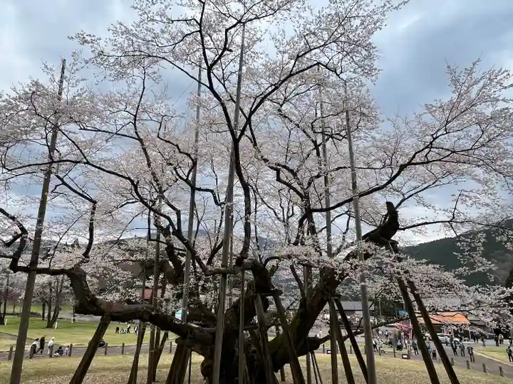 淡墨観音(岐阜県)