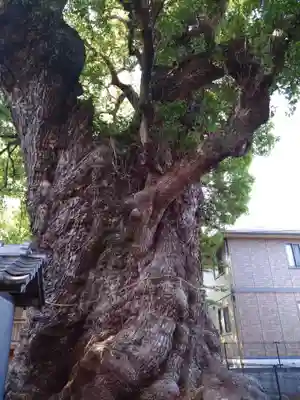 高橋東神社(熊本県)