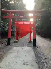 南宮稲荷大明神の鳥居