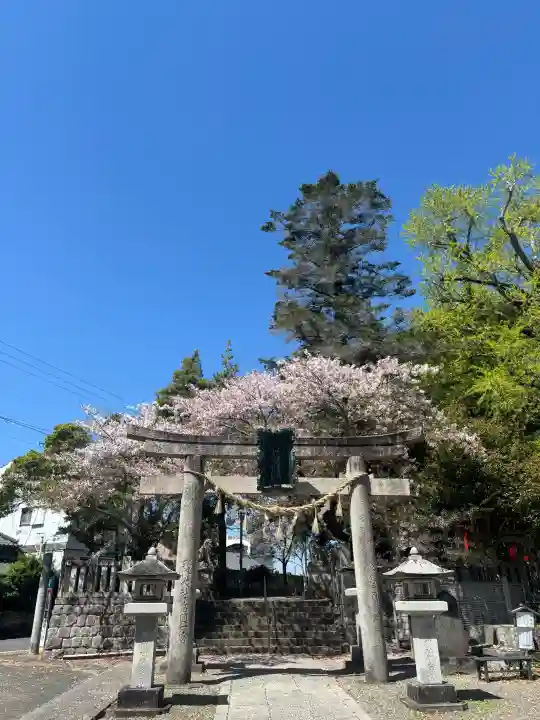 玉前神社の{uncategorized: "未分類", other: "その他", undefined: "問題あり", building: "その他建物", grave: "お墓", sacred_gate: "鳥居", guardian: "狛犬", statue: "像", buddha: "仏像", history: "歴史", nature: "自然", garden: "庭園", animal: "動物", pagoda: "塔", temizu: "手水舎", mountain_gate: "山門・神門", sanctuary: "本殿・本堂", subordinate: "末社・摂社", art: "芸術", scenery: "景色", jizo: "地蔵", ema: "絵馬", goshuin: "御朱印", omikuji: "おみくじ", items: "授与品その他", amulet: "お守り", goshuincho: "御朱印帳", eats: "食事", festival: "お祭り", votive_dance: "神楽", shichigosan: "七五三参", wedding: "結婚式", experience: "体験その他", initially: "初詣", around: "周辺", anti_infection: "感染症対策"}