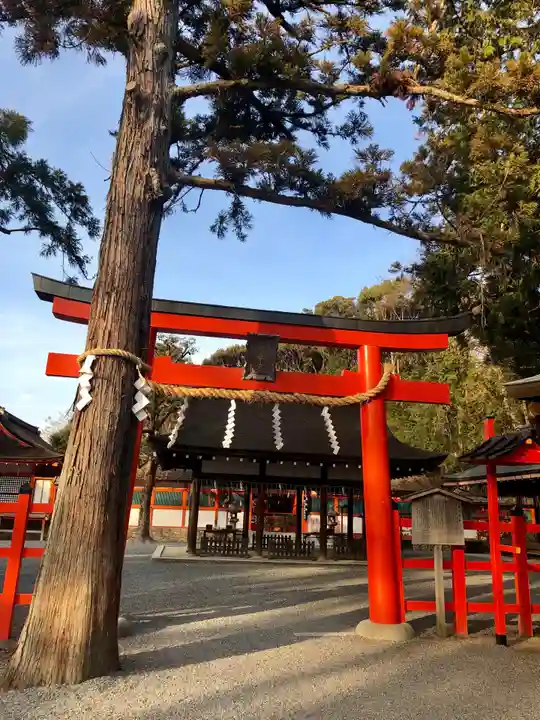 吉田神社の鳥居