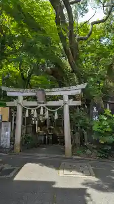 五社之瀧神社(京都府)