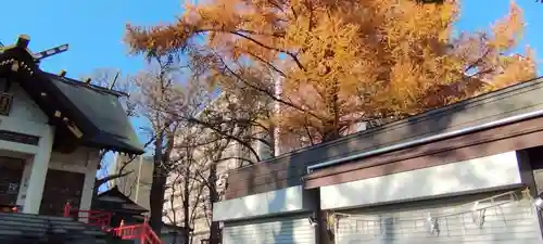 手稲神社(北海道)