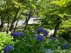 普門寺(切り絵御朱印発祥の寺)の景色