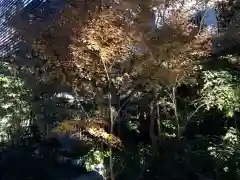 薬祖神社の自然