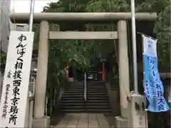 田無神社の鳥居