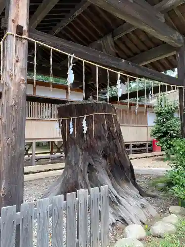 須賀神社(栃木県)