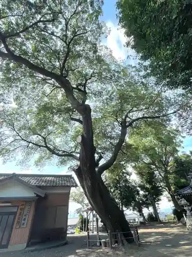 神明神社(岐阜県)