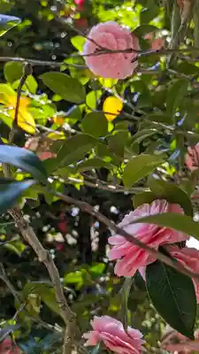 法金剛院(京都府)